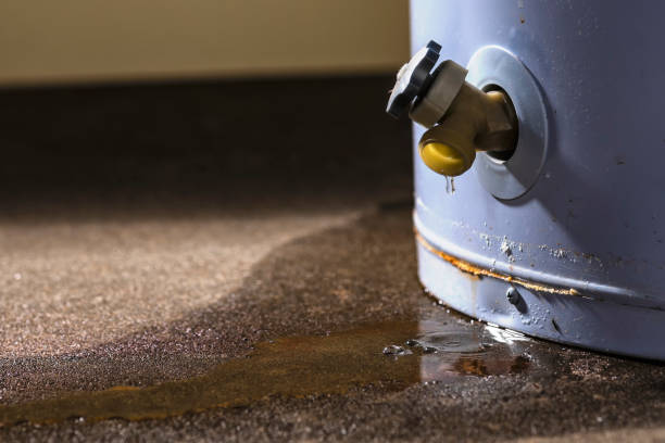 Best Water damage mitigation services  in Ranchos De Taos, NM