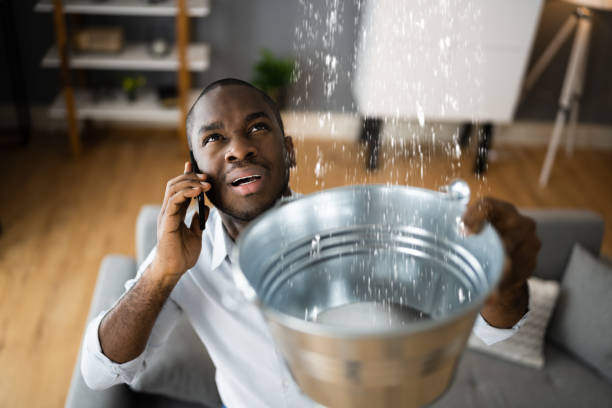 Best Mold removal after water damage  in Ranchos De Taos, NM