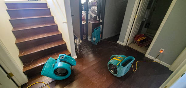 Best Flooded house restoration  in Ranchos De Taos, NM