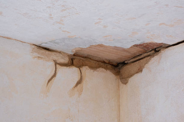 Best Emergency water damage restoration  in Ranchos De Taos, NM