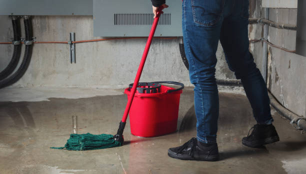 Best Water damage restoration mold remediation  in Ranchos De Taos, NM