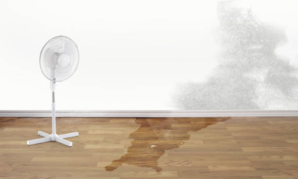 Best 24-hour water damage restoration  in Ranchos De Taos, NM