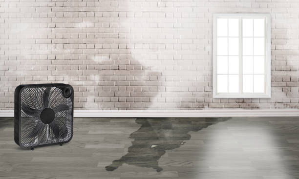 Best 24-hour water damage restoration  in Ranchos De Taos, NM