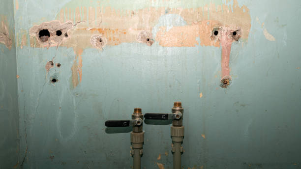 Best Local water damage restoration  in Ranchos De Taos, NM