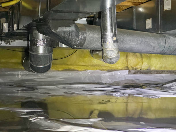 Best Water damage cleanup near me  in Ranchos De Taos, NM