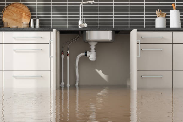 Reliable NM Water damage restoration Solutions