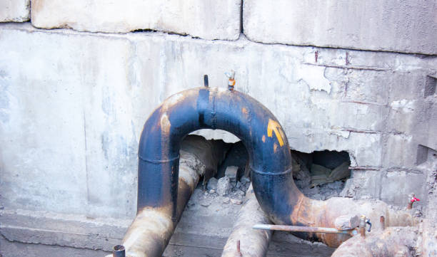 Best Flood damage cleanup  in Ranchos De Taos, NM